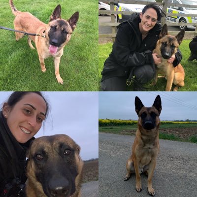 Personal account of RPD Ben and his adventures with his mum ❤️🐾🐕