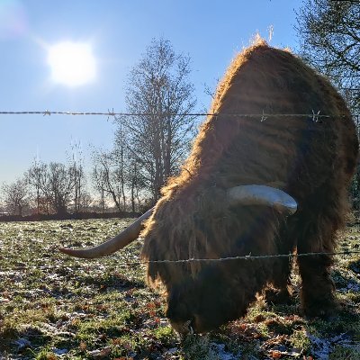 antmin's profile picture. Ich bin ich