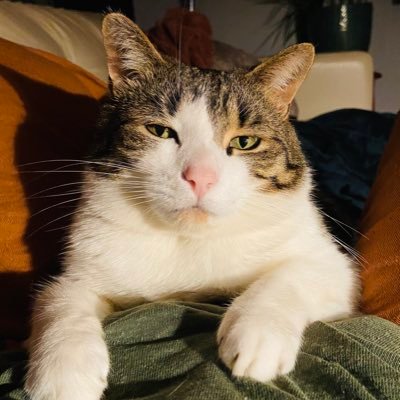 BittaHoneyNY's profile picture. 