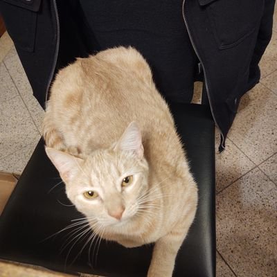 MathHappens51's profile picture. I wrote about #FancyStats for @PattisonAvenue. My calculator is bigger than yours. No, I won't stick to sports. Opinions are mine and mine alone. Now a cat dad.