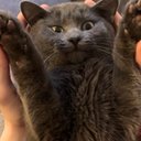 Alma Weston - @AlmaWeston - Twitter