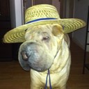 Nate Riggs - @nathanriggs - Twitter