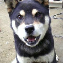 アキヒロさんのプロフィール画像