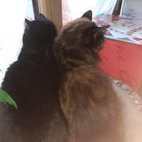 Romain (@romainromain04) 's Twitter Profile