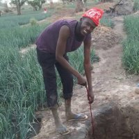 The Famara Fofana (@fofanafamara100) 's Twitter Profile