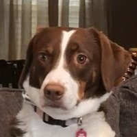 Nathaniel DeArce (@nb_drc) 's Twitter Profile