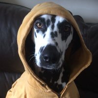 Man About Mourne (@manaboutmourne) 's Twitter Profile