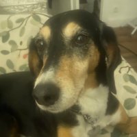 Pepa (@pepa7070) 's Twitter Profile