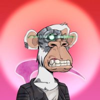 Brodo (@brodofr) 's Twitter Profile