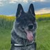 Sarah Constantine (@lincsaonb) Twitter profile photo Sarah Constantine (@lincsaonb) Twitter profile photo