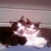 Oscar&Felix (@oscar12751595) Twitter profile photo Oscar&Felix (@oscar12751595) Twitter profile photo