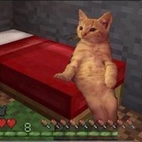 π³πποΈ (@tree_enelojo) 's Twitter Profile