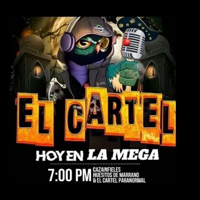 El Cartel de la Mega (@CarteLdeLaMega) / Twitter