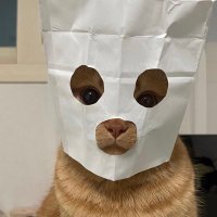 Yirlany (@holasoyyir) 's Twitter Profile