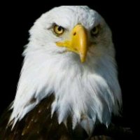 gabriel velasquez (@gabriel02138685) 's Twitter Profile