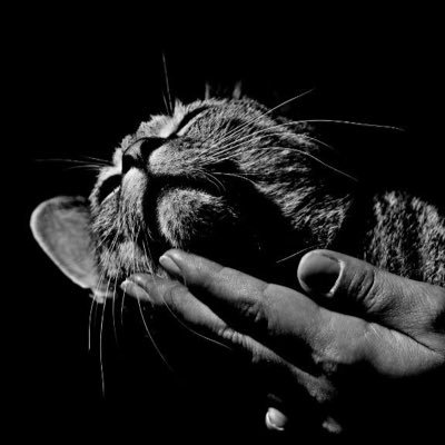 Mogun25's profile picture. meme eye 😂