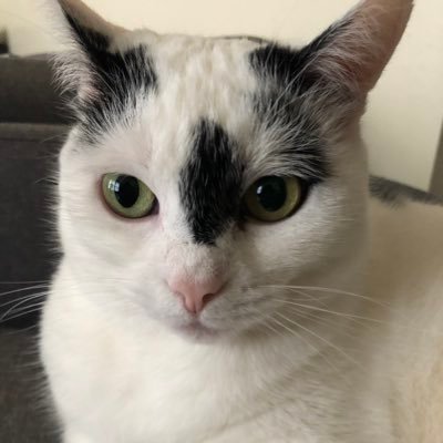 KatieLynne2022's profile picture. 