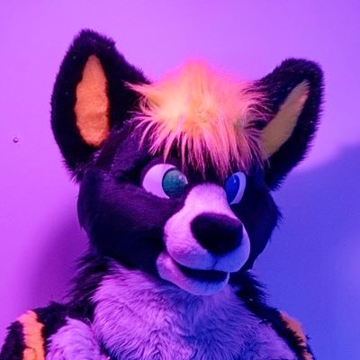 Big gay internet puppo | Husko | Cars | Datacenter’s | Coffee | Suggestive but not NSFW | NOT a murrsuit | ✂️ @FursuitsByLacy | Return to: @KaeptnMarder