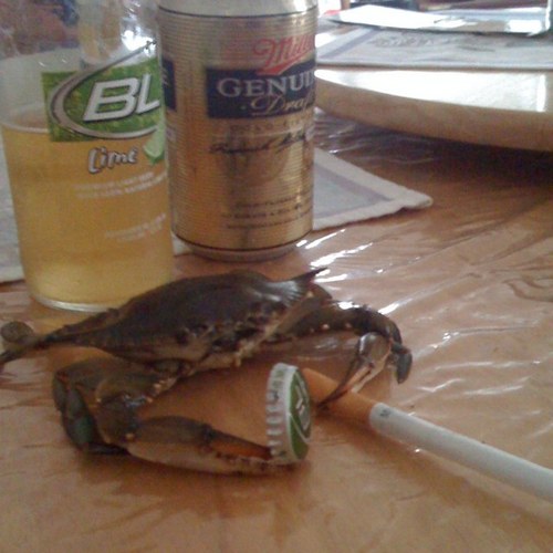 HolyCrapItsFunk's profile picture. Free thinking, fiscally conservative, independent. Blocked by almost all of the closed-minded liberal socialists in SEPA.