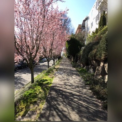 agmohit94's profile picture. 