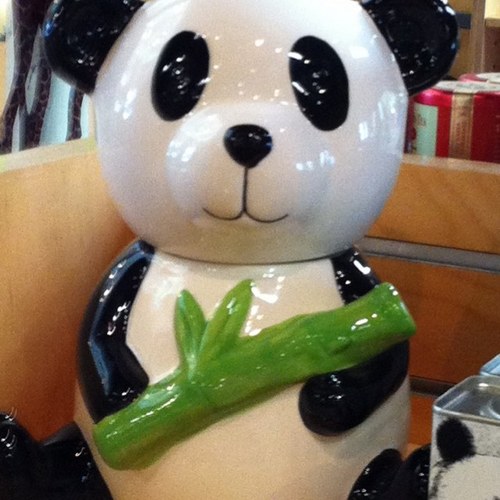 janmurdsays's profile picture. wife, mom, grandma, Rhonda, book reader