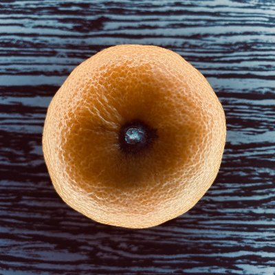 _CryptoSoup_'s profile picture. Hello, this is the best thing you could see from NFT, according to my family.