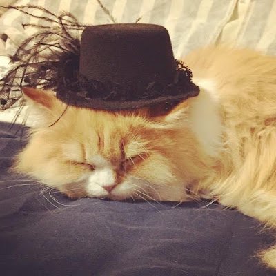 Anuraagkaushik9's profile picture. Nice Person