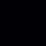 sunny's archiveさんのプロフィール画像