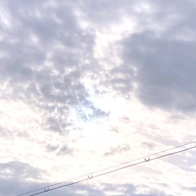 zqzWXMUh3WwCvml's profile picture. 