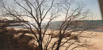 sethisidz's profile picture. 