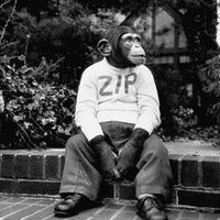Zip (@zipmeister88) 's Twitter Profile Photo