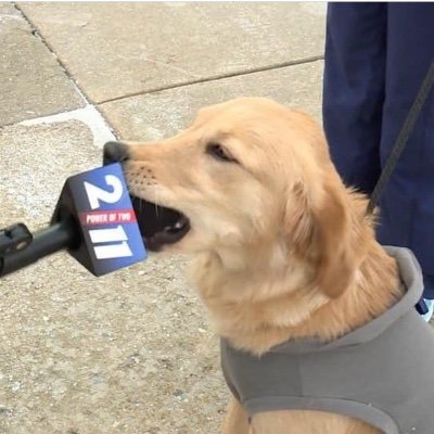 look at this dude w pronouns in his bio lemme point it out real quick - he/him