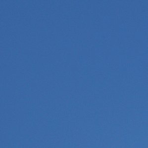 MINIsearch2020's profile picture. 