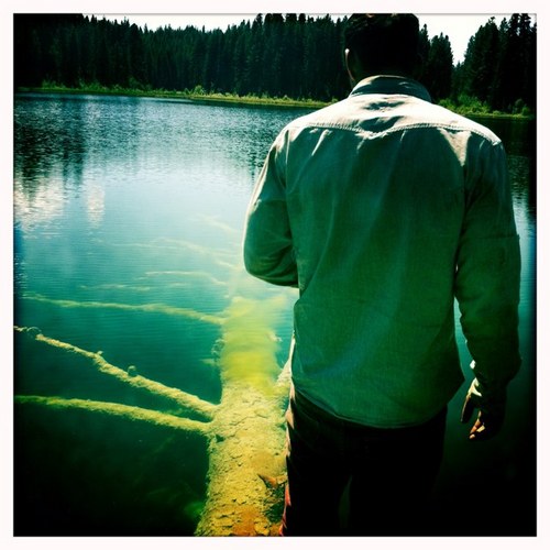 DarioRakic's profile picture. 