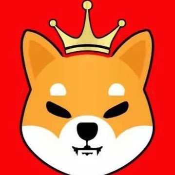 Shibking Coin is a meme token issued on the BSC chain A great and historic project, A totally autonomous Community, 100% DAO ！