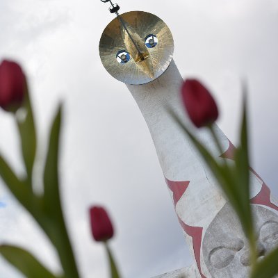 TakuyaKodama49's profile picture. Assistant Prof. (Osaka Univ.) with research interest in π-conjugated/organometallic/main group chemistry. PhD in Science. Views my own.