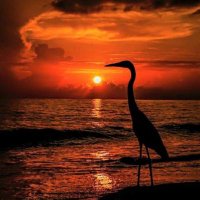 😎😊 (@now_najran) 's Twitter Profile