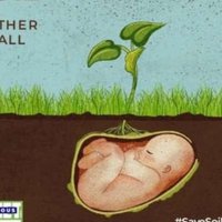 Durairaaja #SaveSoil(@Durairaaja1) 's Twitter Profile Photo