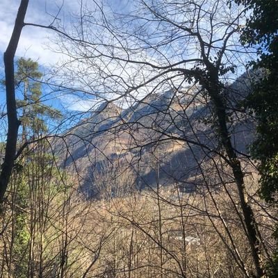 marydu47's profile picture. 