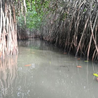 mohandass1989's profile picture. Trained to vanish. Once behind the curtain, now in plain sight. Strategist | Ghost | Ex-Pilot | Still in the shadows.