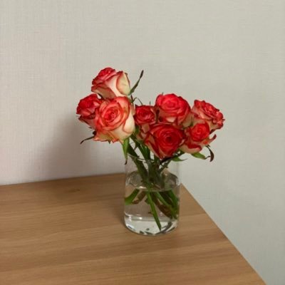 skforhdwn1's profile picture. 어서오세요 식덕 가좍분들 환영합니다 🧡 더 많은 식물을 보고시포요