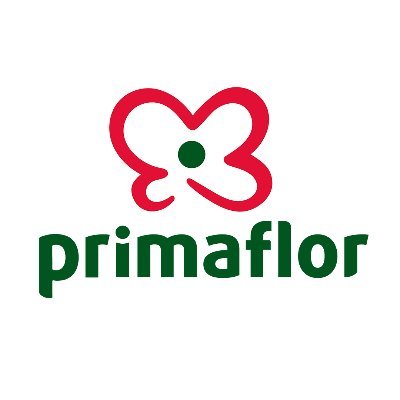 primaflor_es Profile Picture