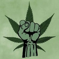 Need for legal weed(@NeedForWeed2810) 's Twitter Profile Photo