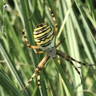 la nature reprendra ses droits quelque soit la volonté de l’Homme...