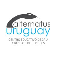 Alternatus Uruguay (@alternatusuy) 's Twitter Profile Photo Alternatus Uruguay (@alternatusuy) 's Twitter Profile Photo