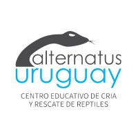 Alternatus Uruguay(@AlternatusUy) 's Twitter Profile Photo