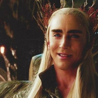 thranduiltheelv's profile picture. 🌺