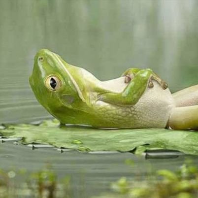 wooddog33's profile picture. Tinggal sejarah