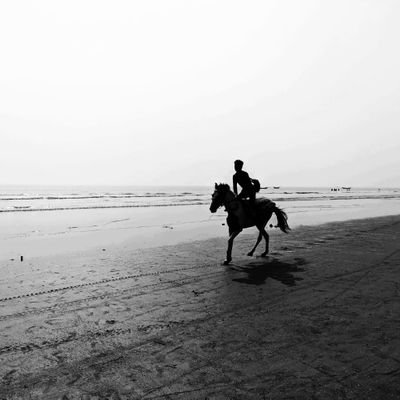 cfa96c2decb14a1's profile picture. 