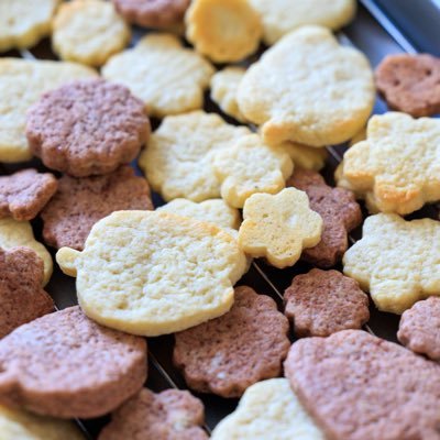 FlyingFeliz's profile picture. Canon EOS R6と、小さくて軽いR50